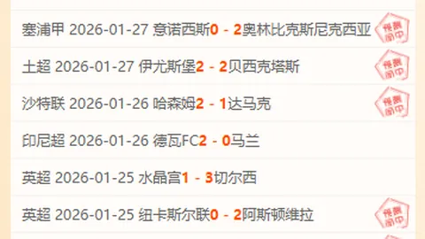 张之臻因伤告别马赛站男单四强角逐